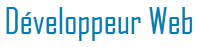 Metier Développeur